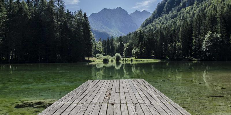 前端开发实战指南:从开发教程到参与开源项目的进阶之路