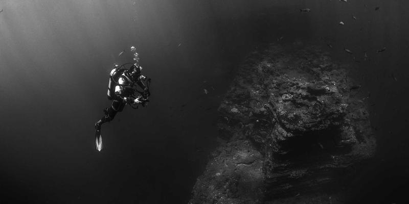 前端开发实战教程：利用AI进行网络流量分析与异常检测