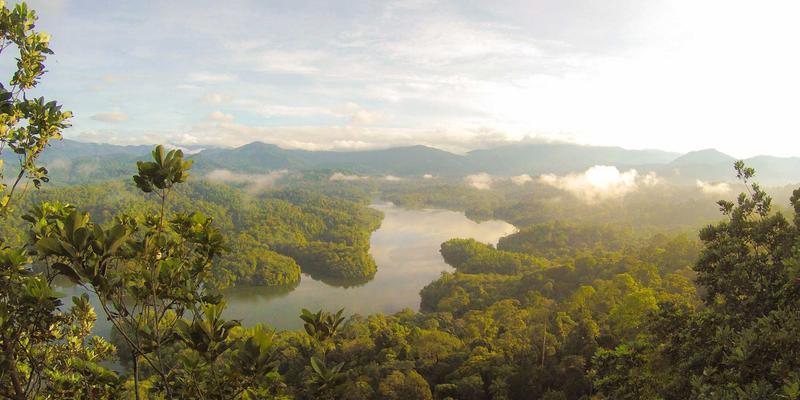 网络技术13:开源项目如何重塑前后端开发新格局