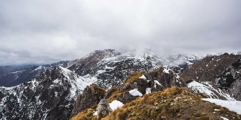 网络技术2.0时代:从技术分享到开发实战的全方位指南