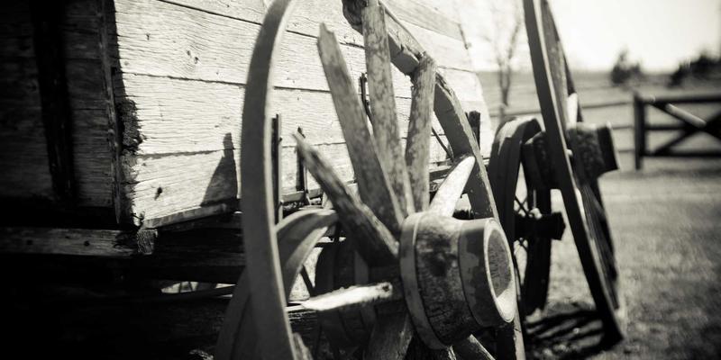 网络技术35：从编程资源到网络安全的全方位技术分享