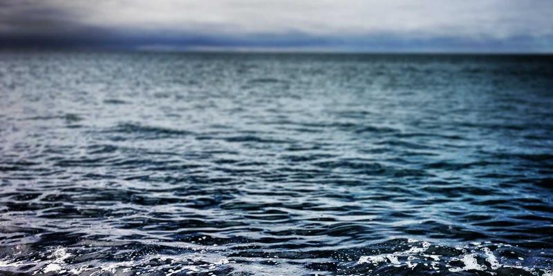 网络技术36:精选编程资源与开发教程全攻略