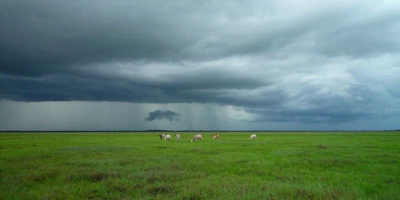 网络技术50：从基础架构到安全防御的技术全景解析