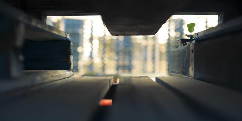 网络技术61：后端开发实战教程与网络安全核心要点解析