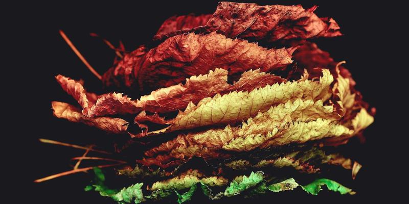 网络技术76:构筑数字时代的网络安全防线与编程资源宝库