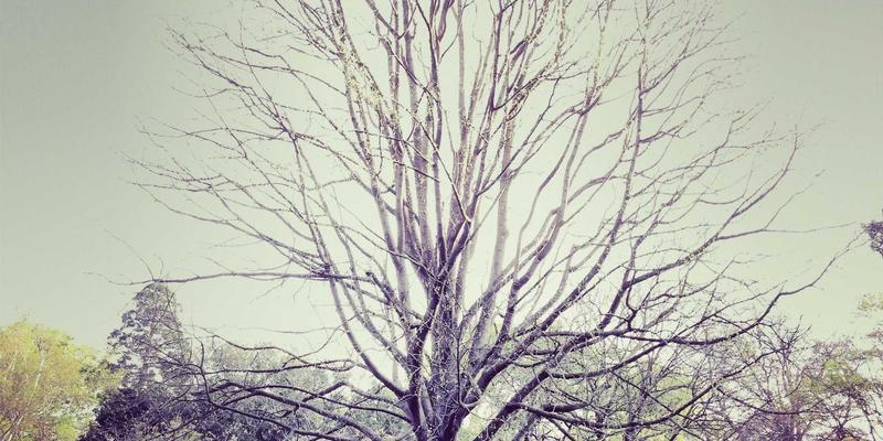 网络技术97：后端开发的演进与核心技术解析