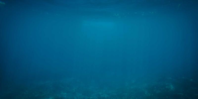 网络技术开发教程：从基础到实战的技术分享指南