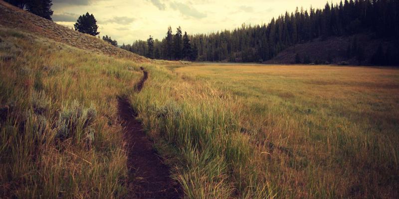 网络技术深度解析:后端开发的核心架构与前沿实践