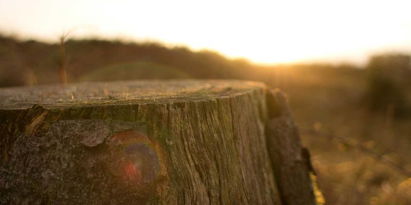 网络自动化运维实战：Ansible与Python设备配置管理开发教程与编程资源