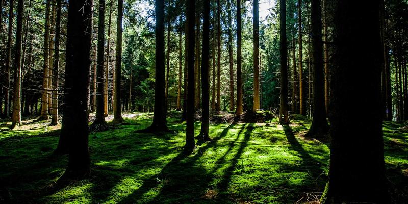 边缘计算如何重塑网络延迟优化：后端开发者的架构实践指南