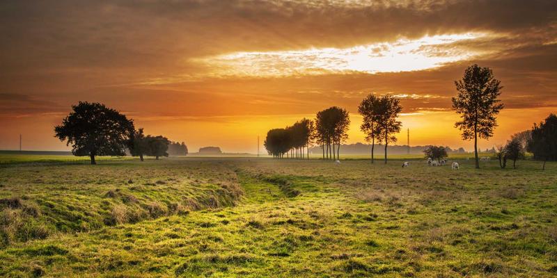 边缘计算网络架构设计：前端与后端开发者如何攻克低延迟与高带宽技术挑战