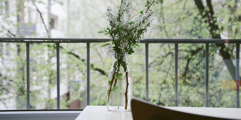 零信任安全架构实战指南：从前端开发到企业网络的分阶段实施教程